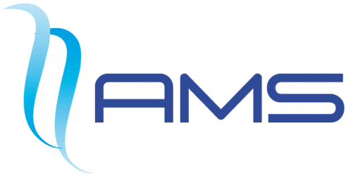 AMS Consultoría e Informática Limitada